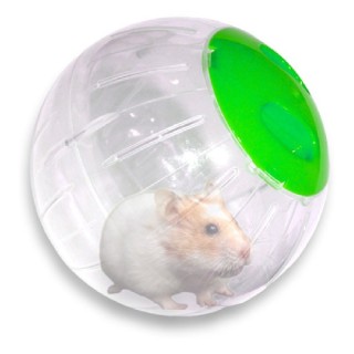 ESFERA EJERCI PARA HAMSTER 18CM 7.08 VERDE