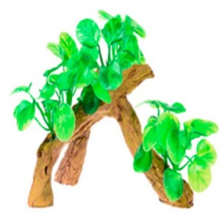 RAIZ C/PLANTAS 6 17X9X15CM