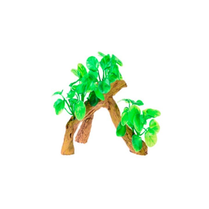 RAIZ C/PLANTAS 6 17X9X15CM