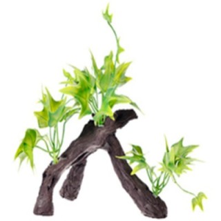 RAIZ C/PLANTAS 5 17X9X15CM