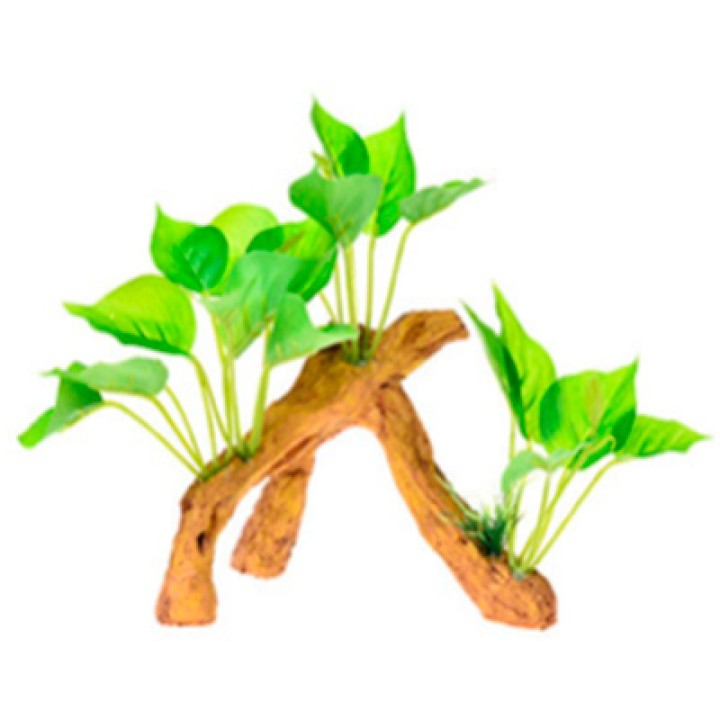 RAIZ C/PLANTAS 7 17X9X15CM