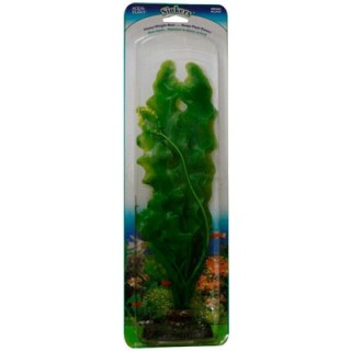 PLANTA ROSAL ESP/VALISNERIA 33 CMS.