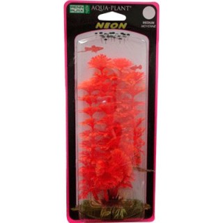 PLANTA LUDWIGIA NEON/ PERLA BLANCA 21 CM.