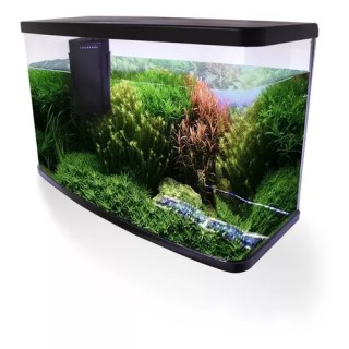 ACUARIO VISION RESUN