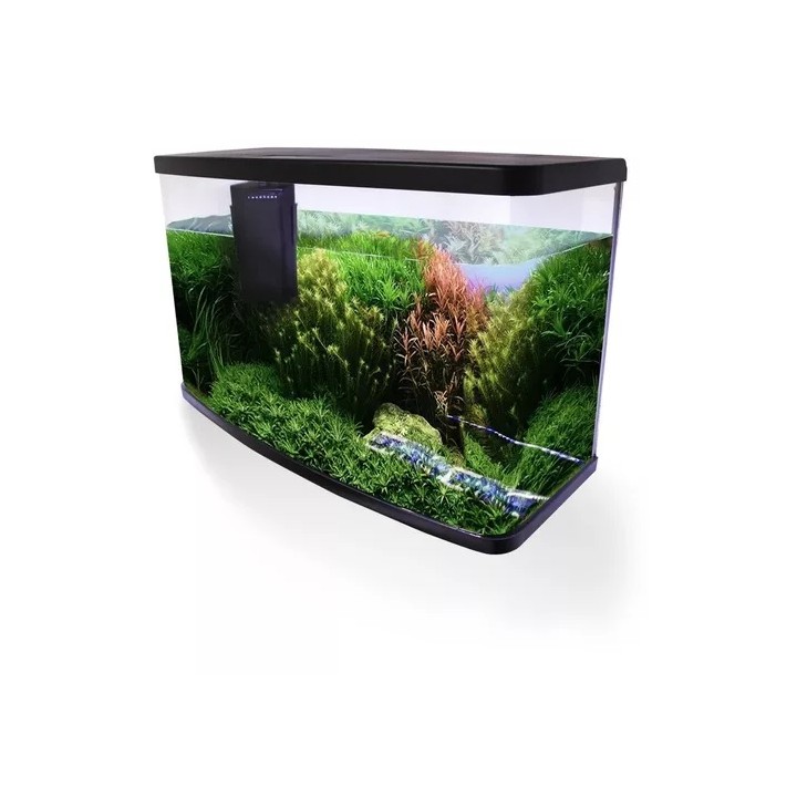 ACUARIO VISION RESUN