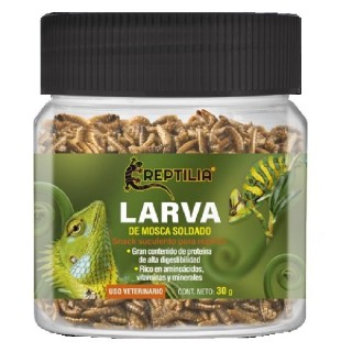 REPTILIA LARVA DE MOSCA SOLDADO 30GRS