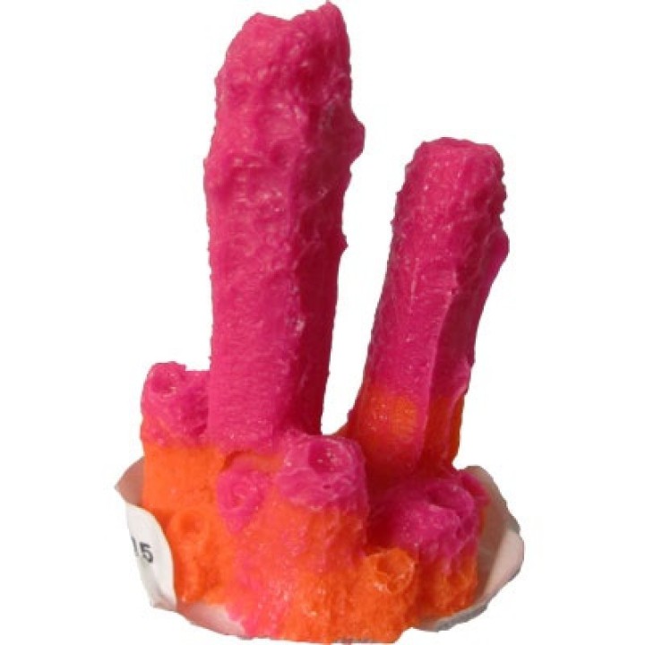 CORAL 2 PICOS 2X3X3CM