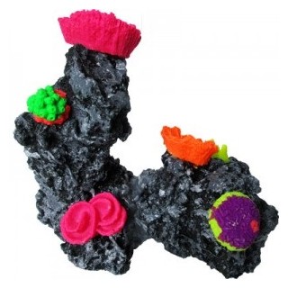 ARRECIFE 2 PIEDRAS 10X17CM