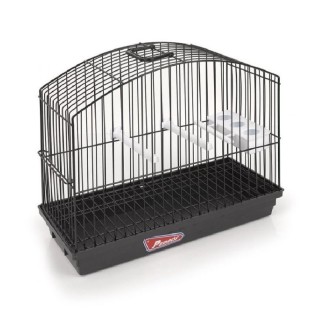 JAULA EXPOSICIÓN BORDER NEGRO