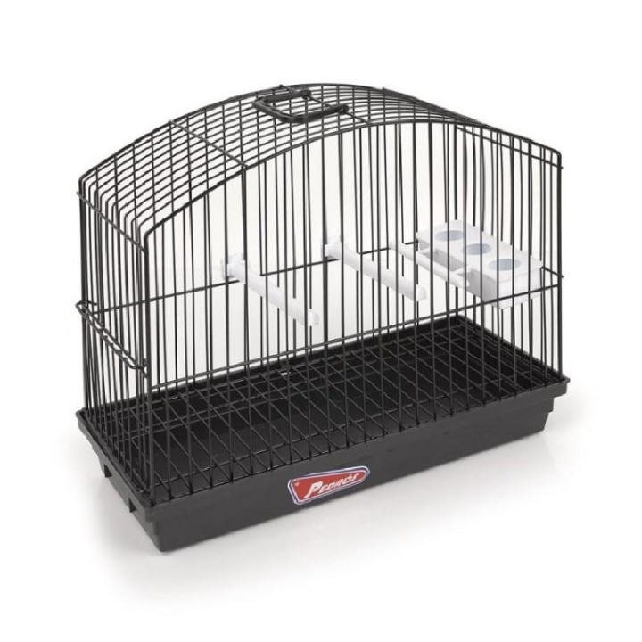 JAULA EXPOSICIÓN BORDER NEGRO