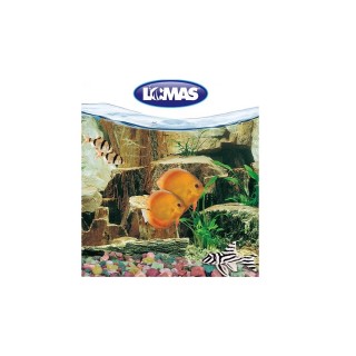 RESPALDO DOBLE VISTA 30CM X METRO