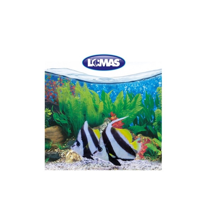 RESPALDO DOBLE VISTA 50CM X METRO