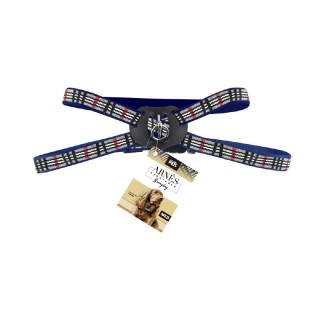 ARNES MED AZUL BERRYDOG P/MASCOTA