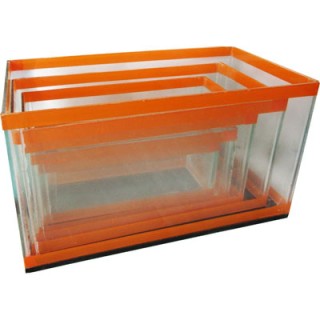 JUEGO DE PECERAS DE CINTA SIN MARCO