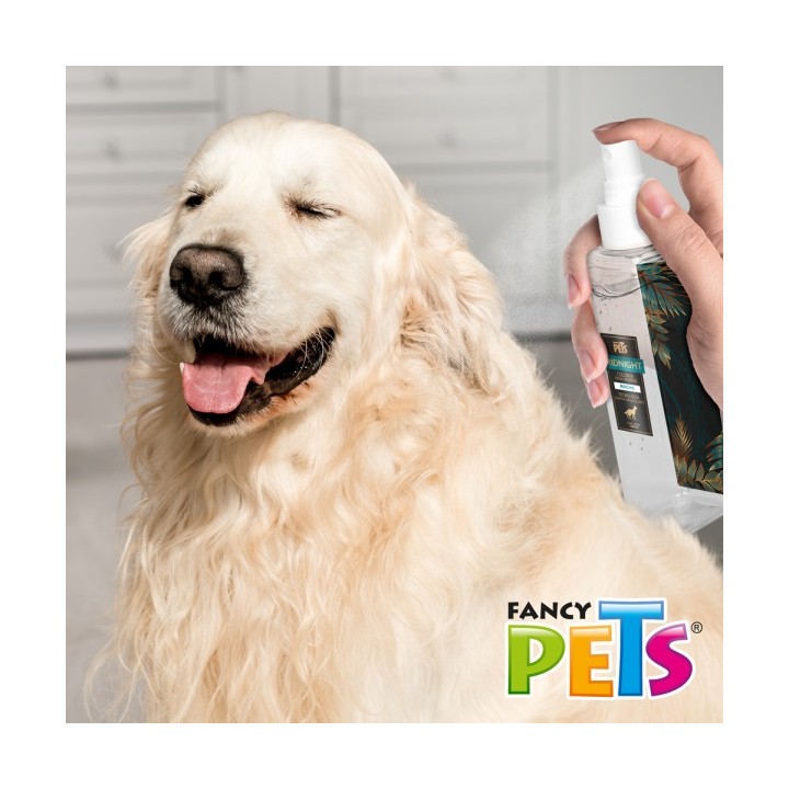 COLONIA PREMIUM P/PERRO MACHO MIDNIGHT 140 ML