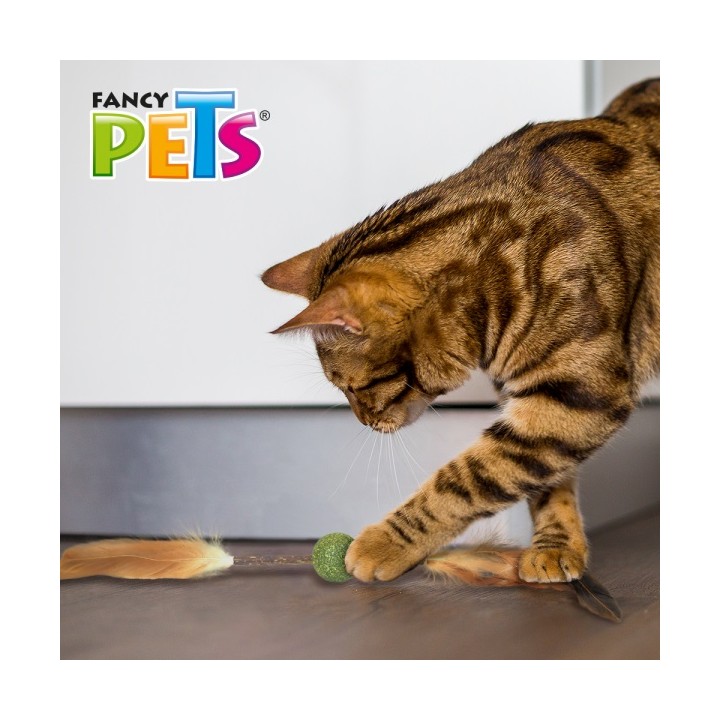 JUGUETE LANZA DE MATATABI Y CATNIP CON PLUMAS