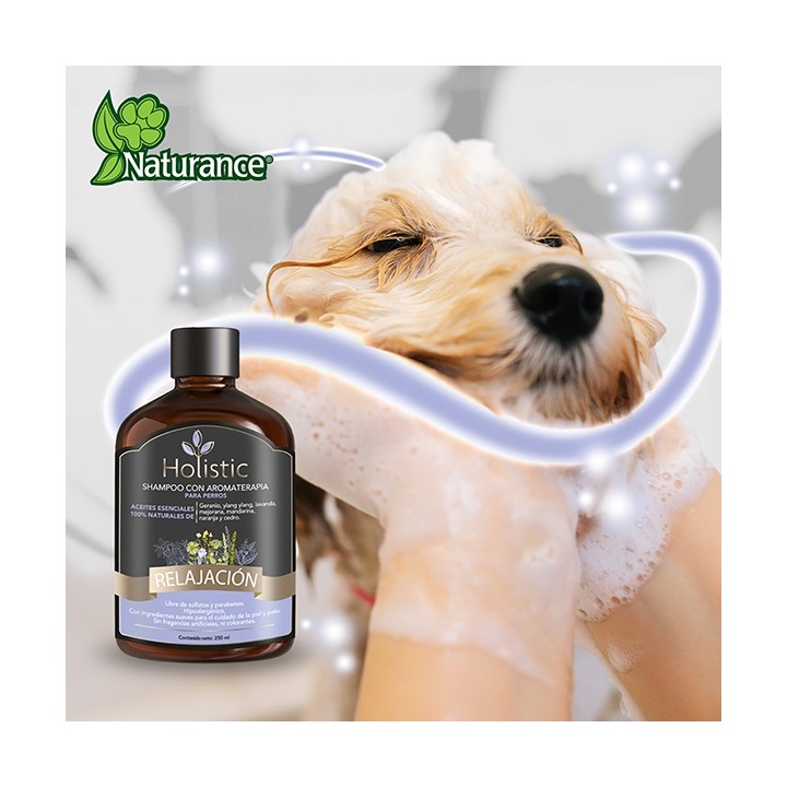 SHAMPOO C/AROMATERAPIA RELAJACION 250ML