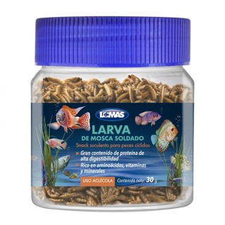 LOMAS LARVA DE MOSCA SOLDADO 30GRS