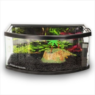 TORTUGUERO PANORAMICO 50CMS