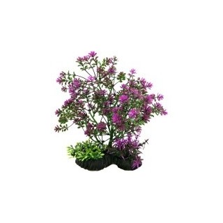PLANTA DE BONSAI PURPURA 20CM.