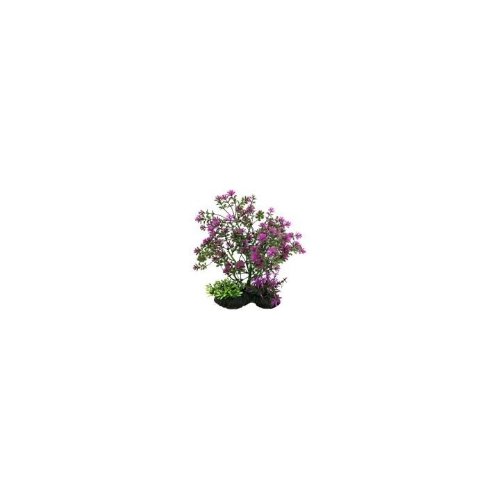 PLANTA DE BONSAI PURPURA 20CM.