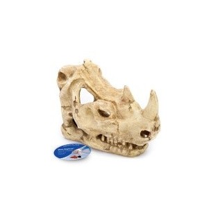 CABEZA DE RINOCERONTE 9X15X13 CM.