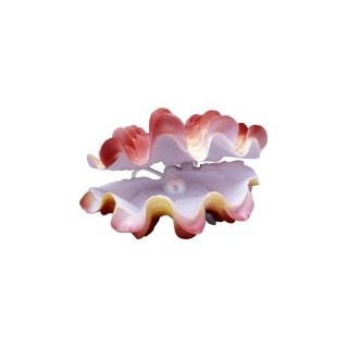 ALMEJA GIGANTE ACTION AIR