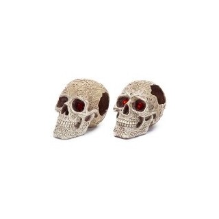 CALAVERAS PENN-PLAX 12.7X17.2X13.9CM