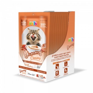 CAJA YUMMY CREAMY P/GATO SALMON 12 C/4PZS.14GRS