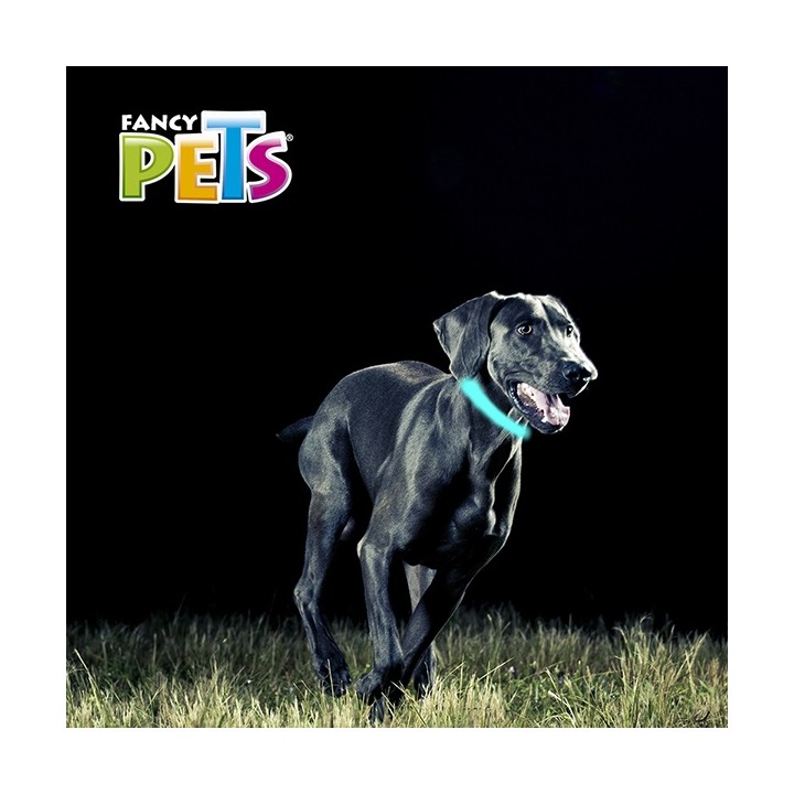 COLLAR LED HUELLAS MED