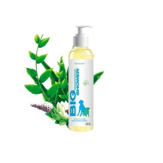 BIG SHOWER C/ALOE VERA 250ML