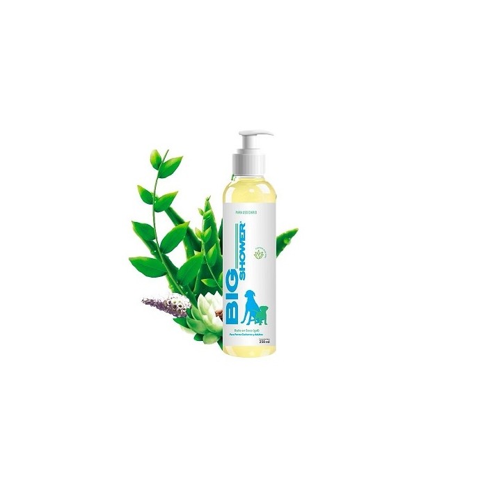 BIG SHOWER C/ALOE VERA 250ML