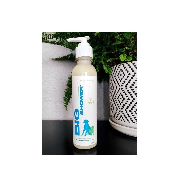 BIG SHOWER C/ALOE VERA 250ML