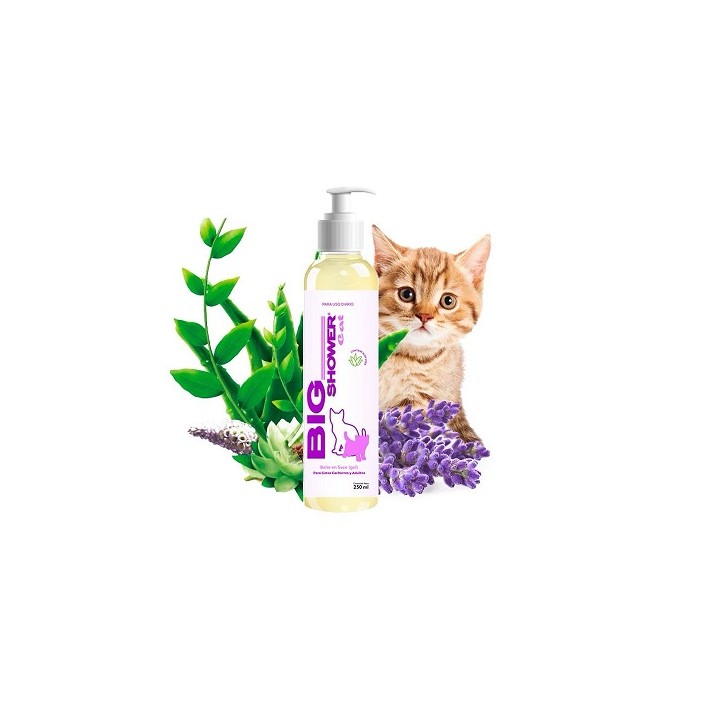 BIG SHOWER GATOS 250ML