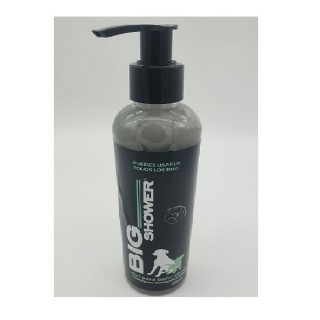 BIG SHOWER C/CARBON ACTIVADO 250ML