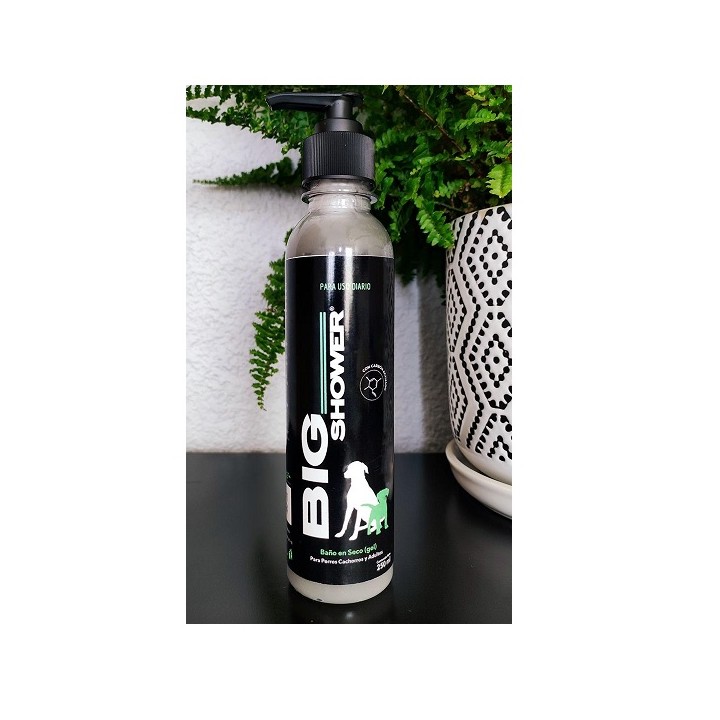 BIG SHOWER C/CARBON ACTIVADO 250ML