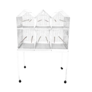 PAJARERA 6 DEPARTAMENTOS