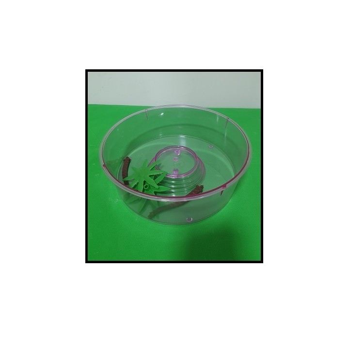 TORTUGUERO REDONDO CHICO-MEDIANO