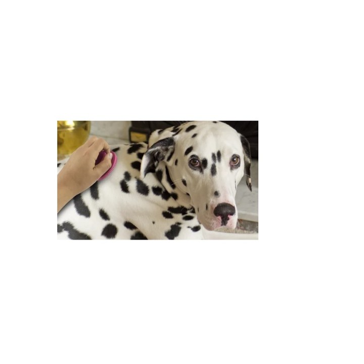 GOMA LIMPIADORA P/GROOMING