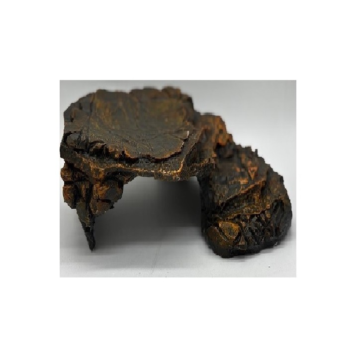 TERRAZA TORTUGUERA GRANDE