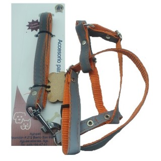 PECHERA GATO REFLEJANTE