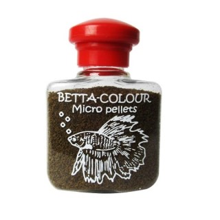 ALIMENTO BETTA COLOUR
