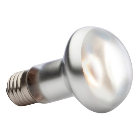 FOCO EXO TER SUN GLO TIGHT BE 50W